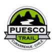 Logo-Puesco