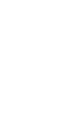 SPORT-PuescoTrail_lockup_v_BWr